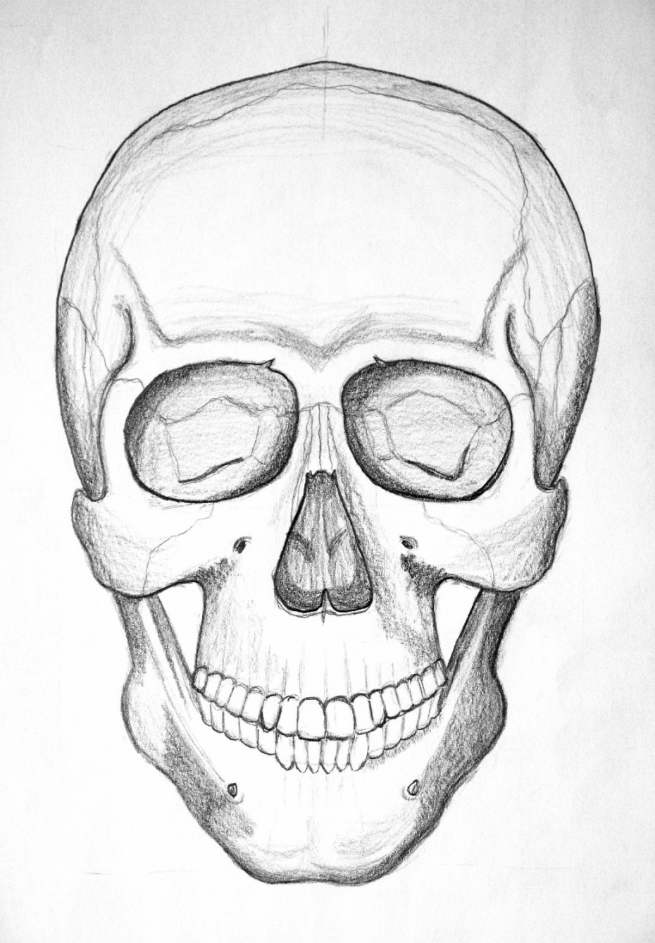 skull